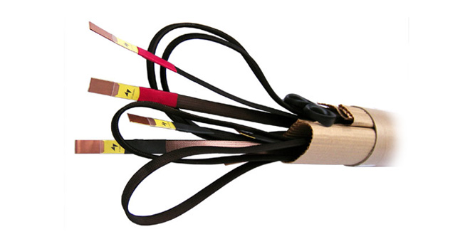 Model 4719 Speaker Cable (12 mm)