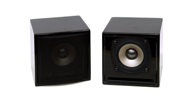 Model 4738 Fullrange Speaker System (8cm Single Driver)